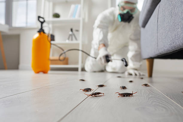 Commercial Kitchen Cockroach Control in South Lebanon